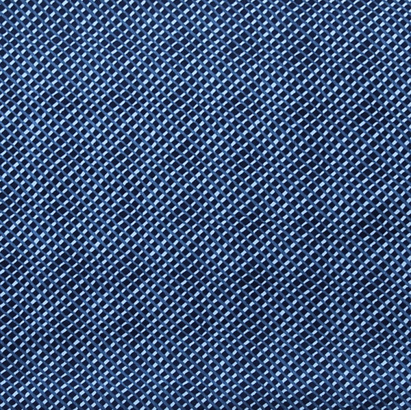 Pure Cotton Screen Print Blue With Mini checks Fabric