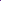 Cotton Silk Purple Plain Fabric