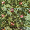 Glazed Cotton Fabric Khaki Green Textured Print With Mirror Work Geometric  Embroidered Motif