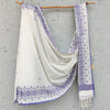 MADHULIKA- Pure Cotton Bengal Handwoven Saree White Blue