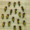 Pack Of Five Black And Yellow Parrot Button