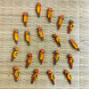 Pack Of Five Orange Parrot Button
