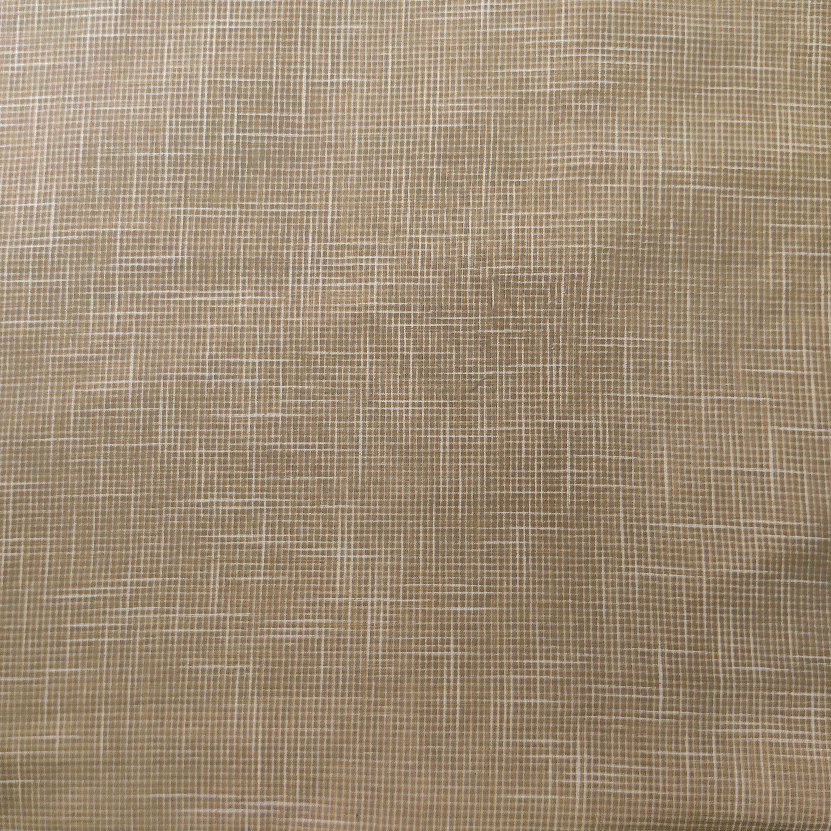 Pure Cotton Handloom Fine Checks Beige – Sanskruti