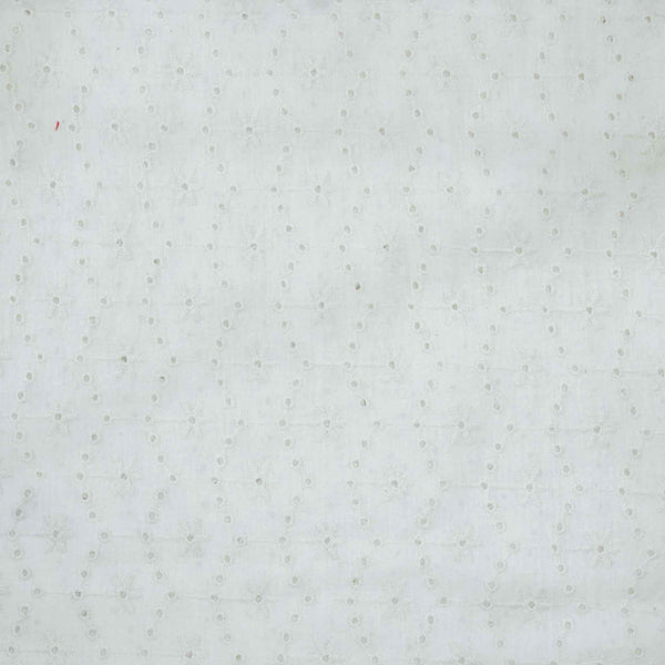 Pure Cotton Off White Hakoba Embroidered Blouse Fabric (0.80 Meter)